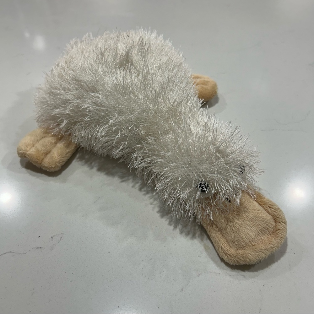 Ganz Webkinz Duck Billed Platypus Plush 10” Stuffed Animal NO CODE